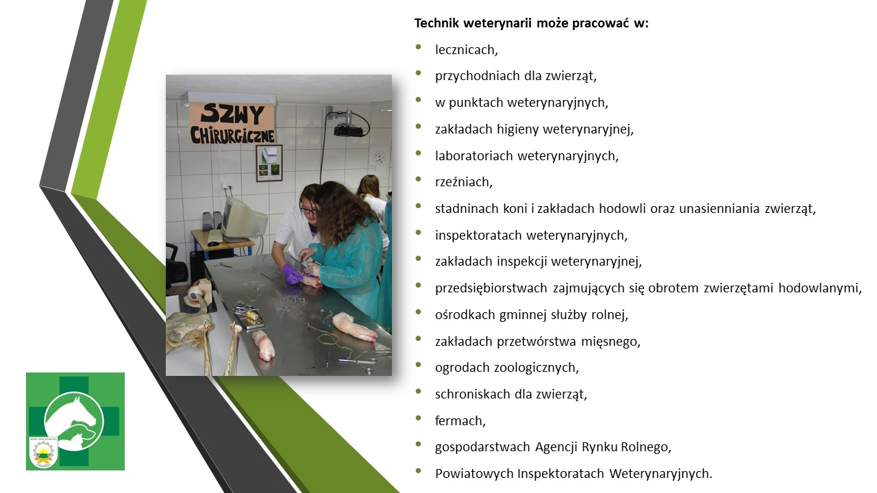 Egzamin R10 Technik Weterynarii Praktyczny Technik weterynarii